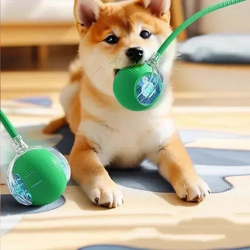 Smart Interactive Cat Ball Toy