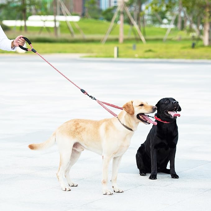 Heavy Duty Dog Leash with Shock Absorbing Bungee for Walking 2 Dogs (25-150 lbs)