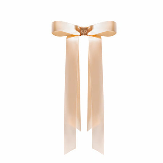 🎀Rose Gold Butterfly Magnetic Hair Clip